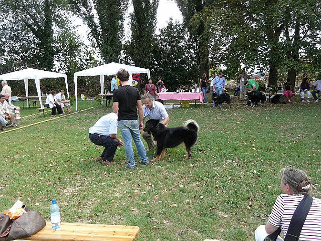 img 128.jpg